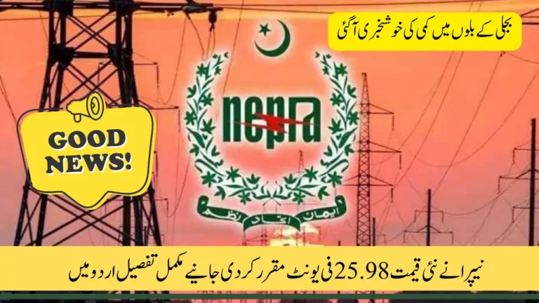 NEPRA Finalizes New Power Purchase Price for 2025–26 to Reduce Burden on Electricity Consumers