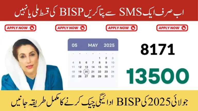BISP 8171 Payment Check Procedures July 2025 Full Guide to Confirm Your Payment Status Online