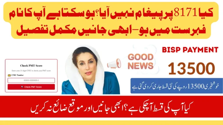 BISP 8171 Payment Status for All Provinces – Are You on the List?