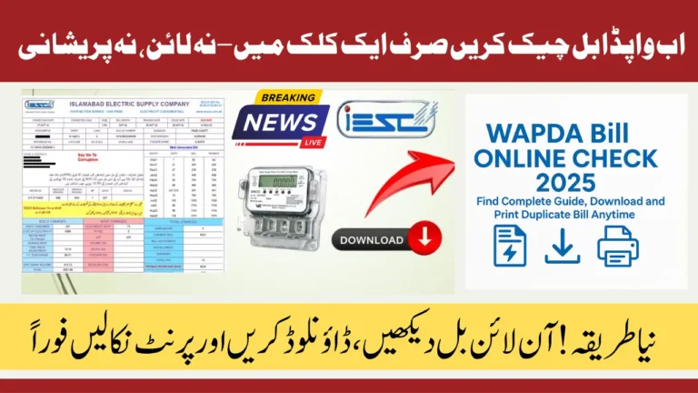 WAPDA Bill Online Check 2025 Find Complete Guide, Download and Print Duplicate Bill Anytime