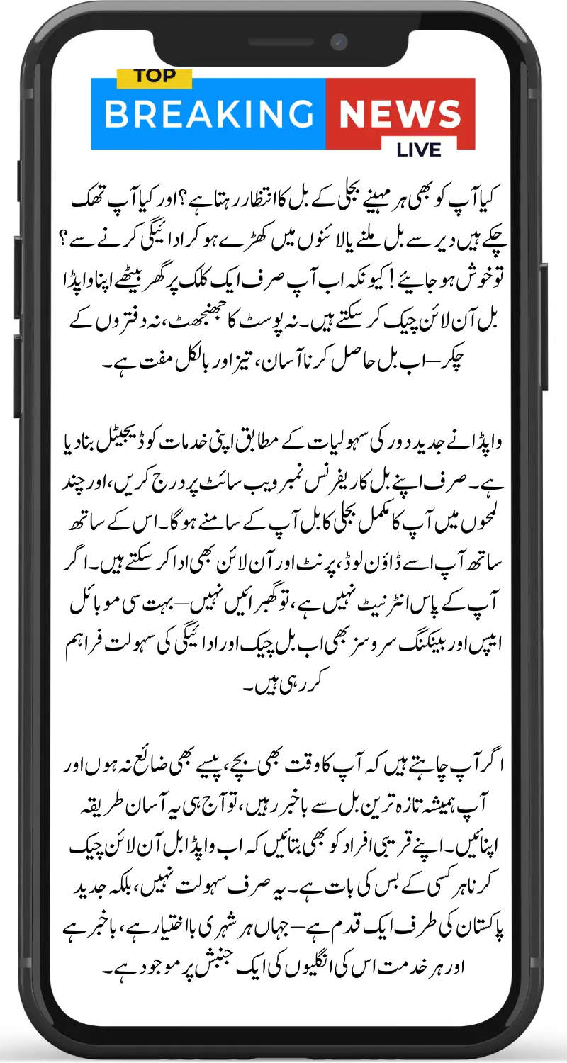 WAPDA Bill Online Check 2025 Find Complete Guide, Download and Print Duplicate Bill Anytime