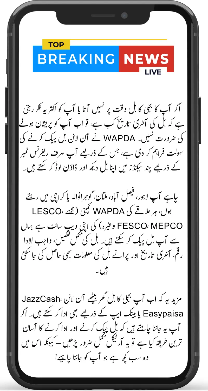 Wapda Bill Check Online in Pakistan Step-by-Step Guide to View, Download and Pay Electricity Bill